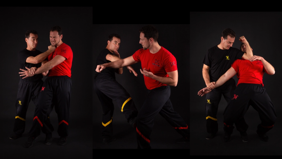 Wing Tsun Savedefence-Training