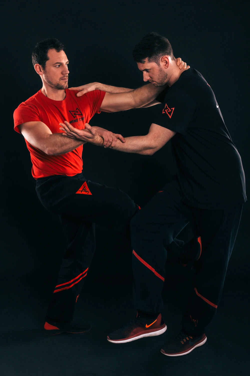 Wing Tsun SaveAbwehr gegen jede Form von Gewalt